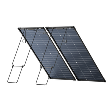 Load image into Gallery viewer, EcoFlow 125W Bifacial Modular Solar Panel (2 Panel)